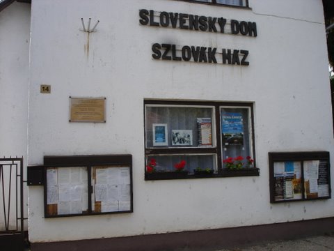 Dni slovenskho zahraniia v Maarsku 033