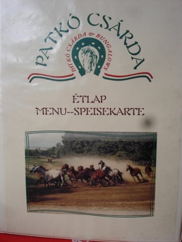 Dni slovenskho zahraniia v Maarsku 034