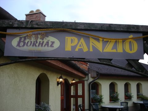 Dni slovenskho zahraniia v Maarsku 055